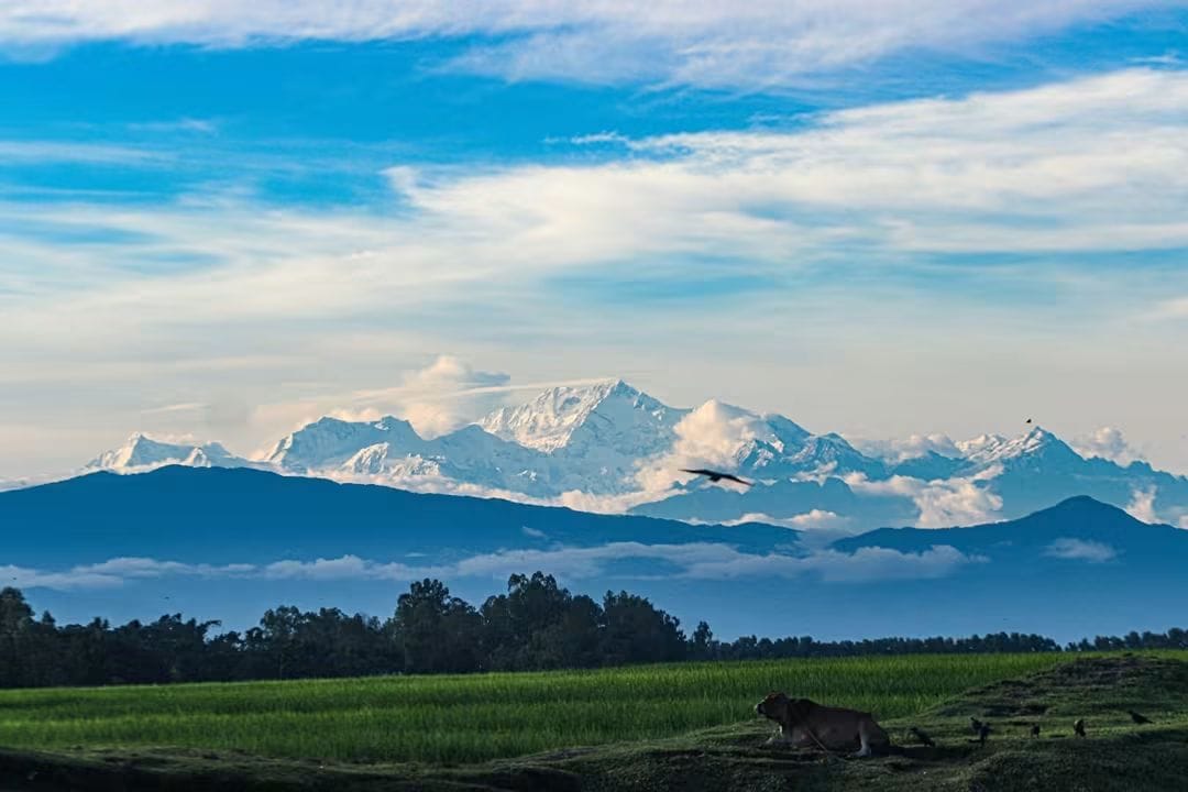 পঞ্চগড় 